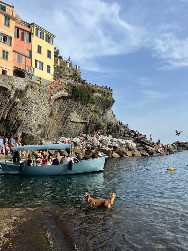 8305BDF3-E41D-461C-8529-D2600077FC5A_1_105_c